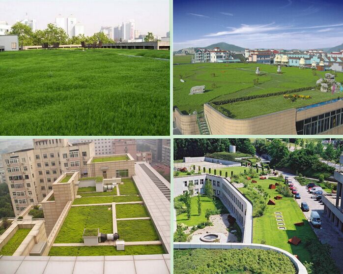 China Green Roof Materials