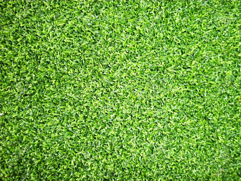 Decorative Grass Artificial