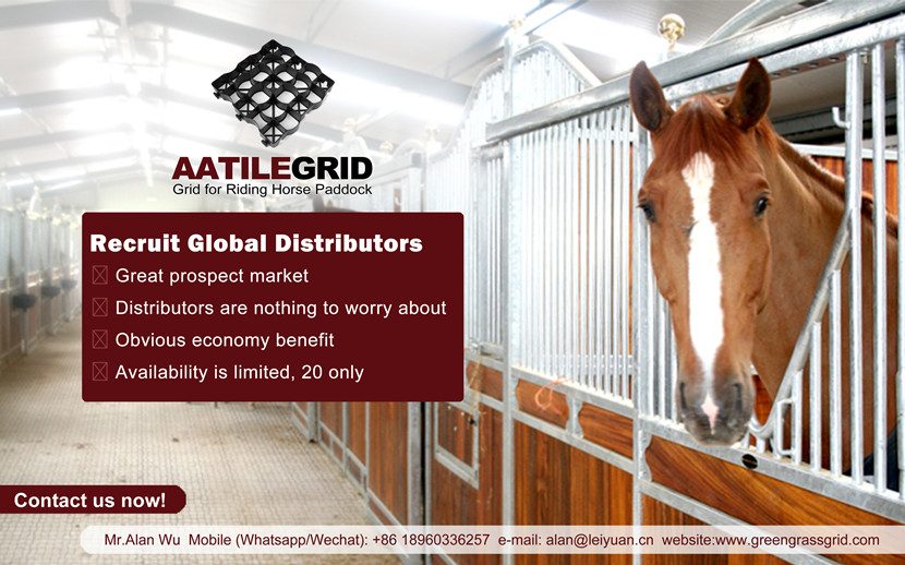 Recruit Global Distributors of Paddock Horse Stall Grates