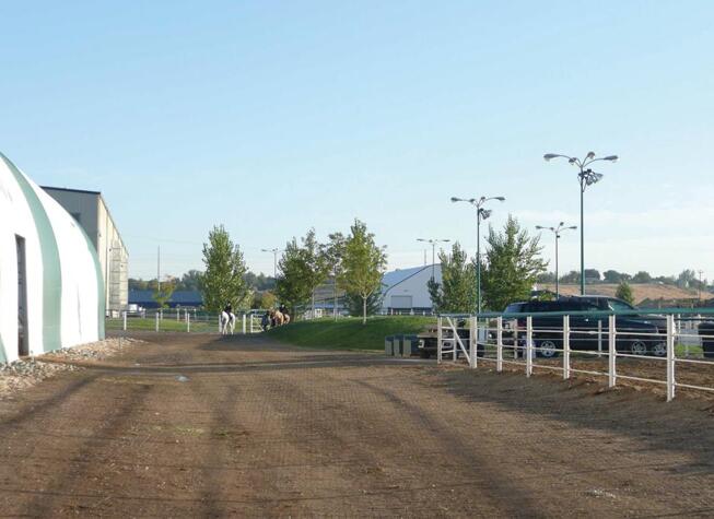 Paddock grids are necessary for you and your horse