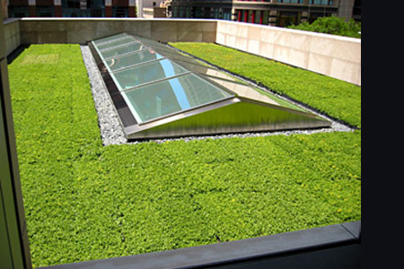 The Great Thermal and Noise Insulator - Green Roofs