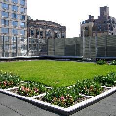 History of Green Roof