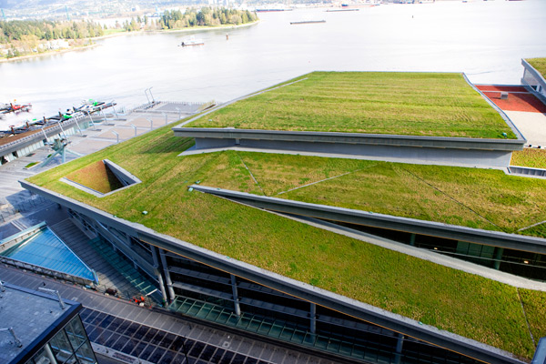 Will Green Roof System Become the Trend of Environmental Greening?