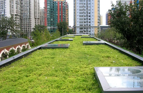 The Importance of Green Roofs for Development
