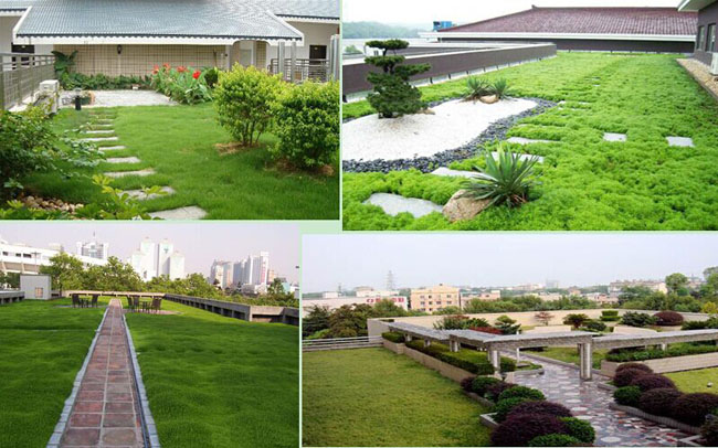 Green Roof Drainage Sheet