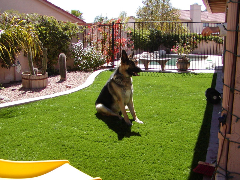 Artificial grass for pet_www.greengrassgrid.com