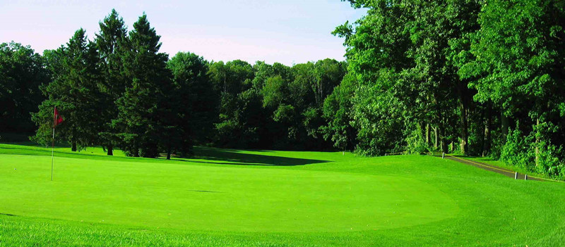 Golf Putting Green Fake Turf