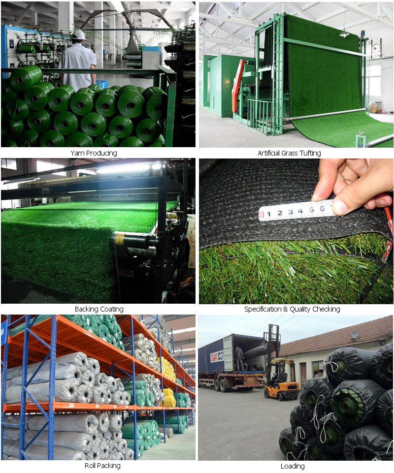 Multiple Application Grass Artificial