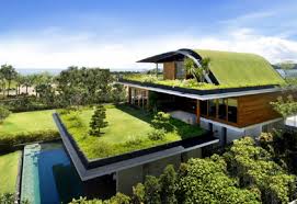 Green Roof