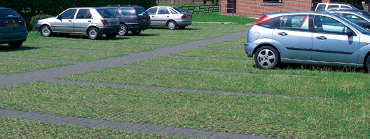 Grass Grid Pavers for Parking