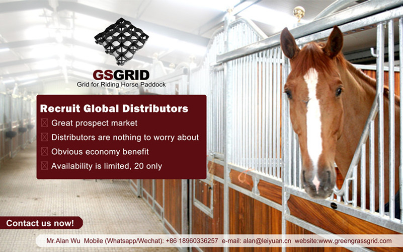 Horse Riding Grids Recruit Global Distributors