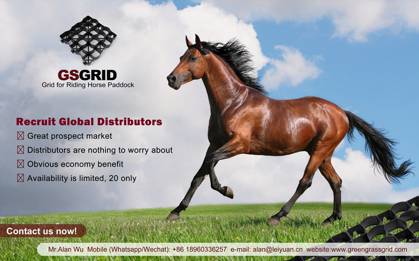 Recruit Global Distributors of Equestrian Soil Stabilizer Grid