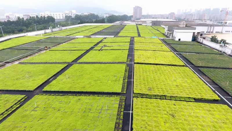 The Future of Urban Greenery: Introducing LEIYUAN's Modular Green Roof Systems