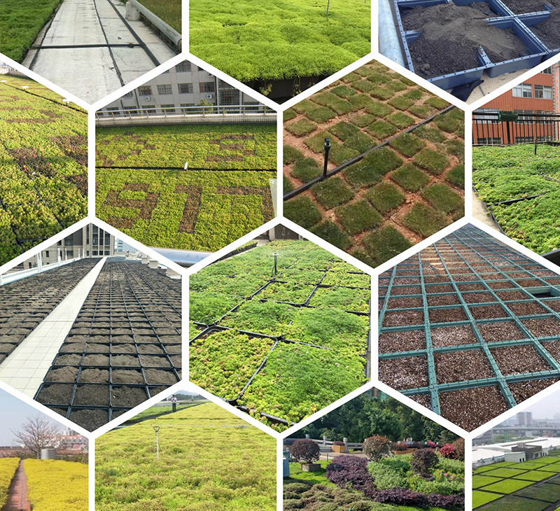 The Future of Urban Greenery: Introducing LEIYUAN's Modular Green Roof Systems