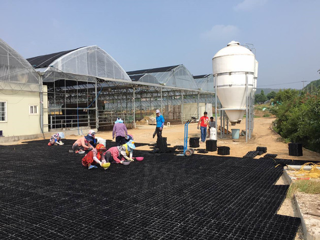 Update News about South Korea Customer’s Cow Farm Floor Grid Construction