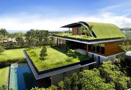 What Are the Ecological Benefits of Building a Green Roof?