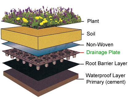 Roof Greening Installation