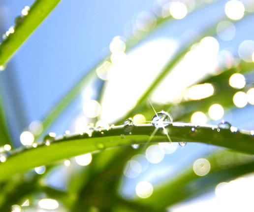 Rainwater Harvesting Become Popular In the United States