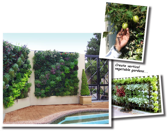 Benefits of Vertical Greening Systems